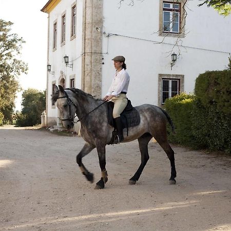 Quinta Dos Alamos Agroturismo Villa Golegã Kültér fotó