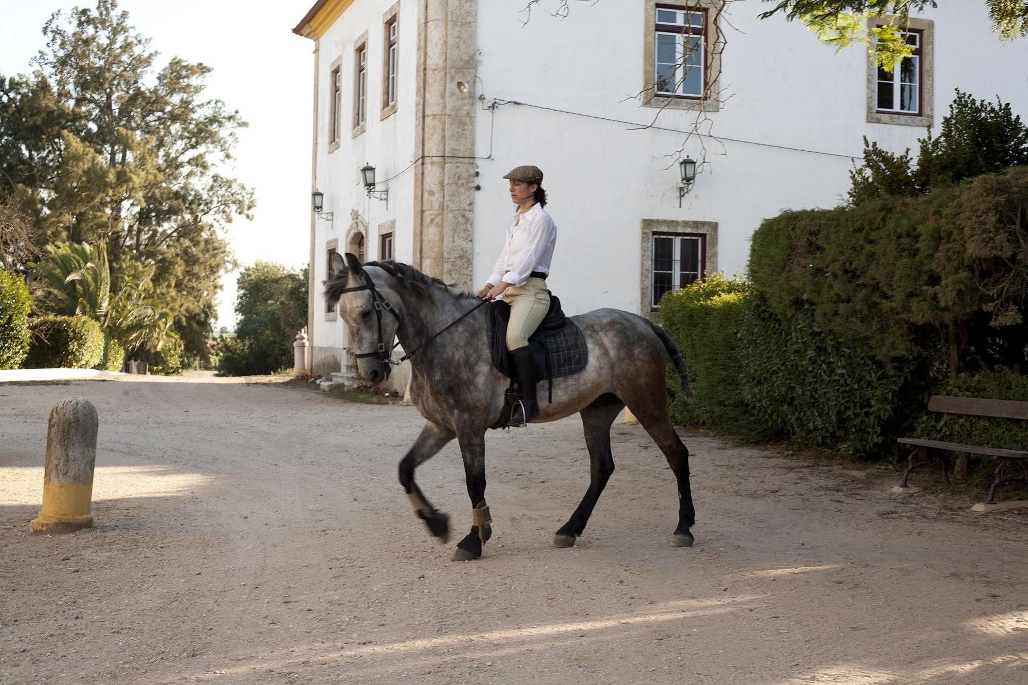 Quinta Dos Alamos Agroturismo Villa Golegã Kültér fotó